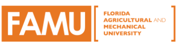 Uppercase letters in white on orange rectangle that read, "F-A-M-U". To the right in large orange brackets is 4 lines of text reading "Florida Agricultural & Mechanical University".