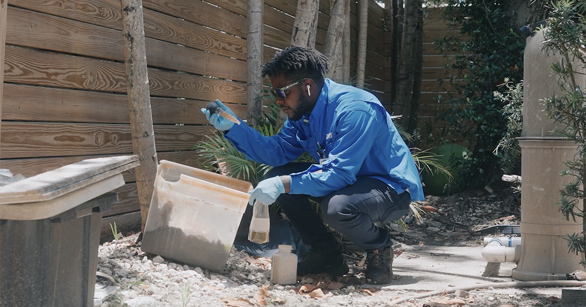 Person collecting a sample of standing water from an open container for mosquito larvae testing.