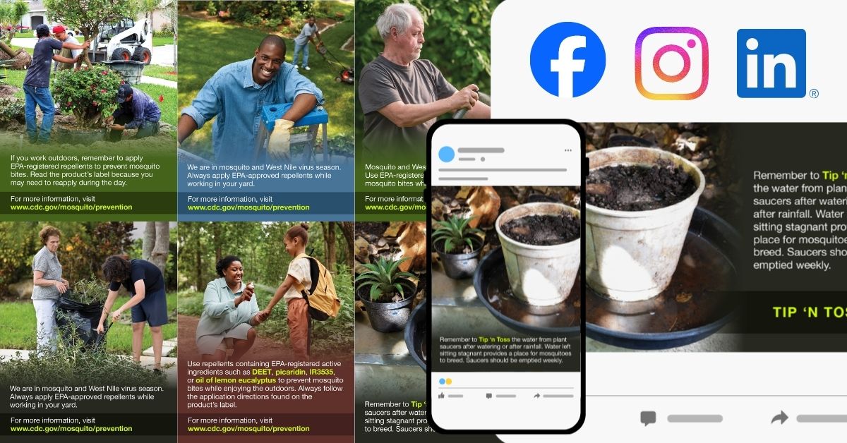 A collage of social media posts