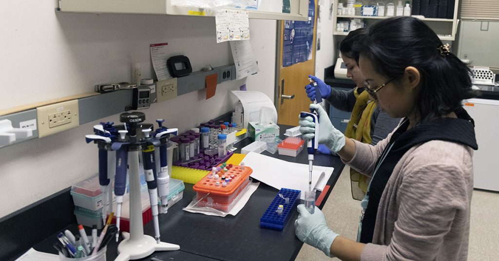 Two scientists are working in a lab preparing samples for testing.