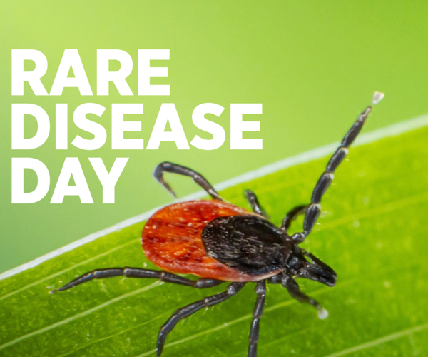 A blacklegged tick on a green background can transmit the Powassan virus.
