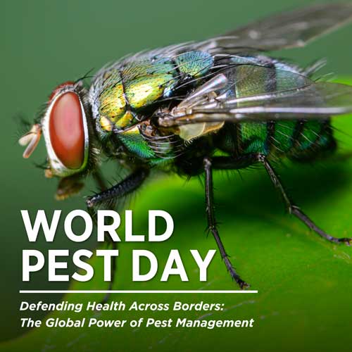 Macro Image of fly with text reading "World Pest Day - Defending Health Across Borders: The Global Power of Pest Management."