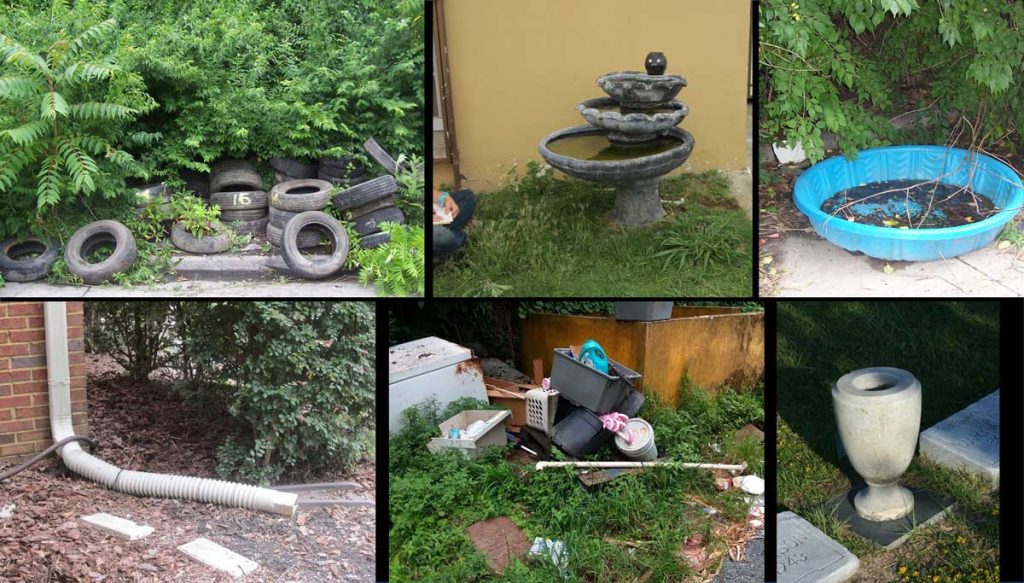 Collage of images showing collecting water in containers that create mosquito breeding habitats.