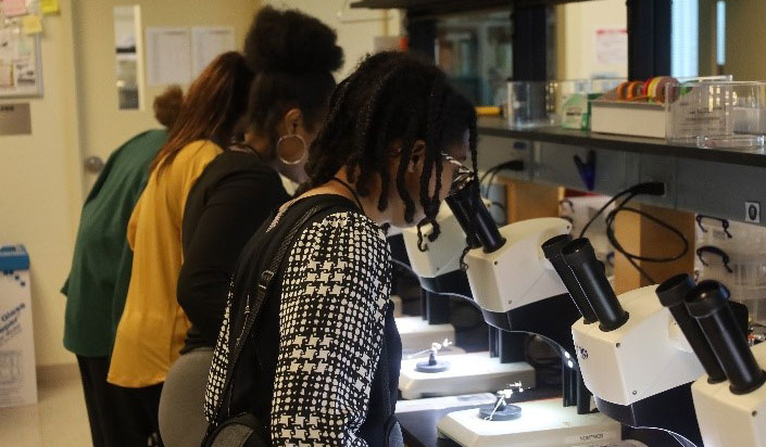 A group of students observing medically important arthropods using microscopes.