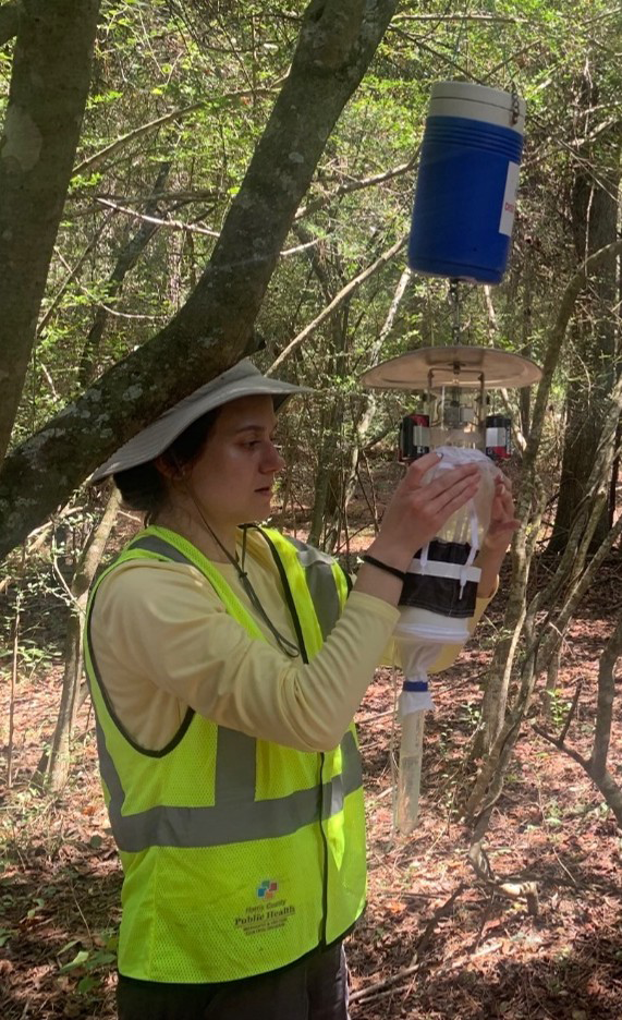 Figure 4. Our technician, Jennifer Reiss, setting up our modified trap