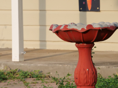 Red bird bath used as an example of a container that can be a mosquito breeding habitat.