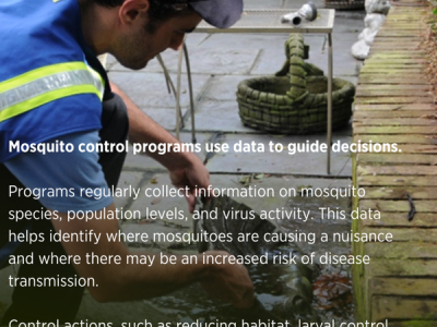 GSV_Did You Know Thirteen_Downloadable_600x800